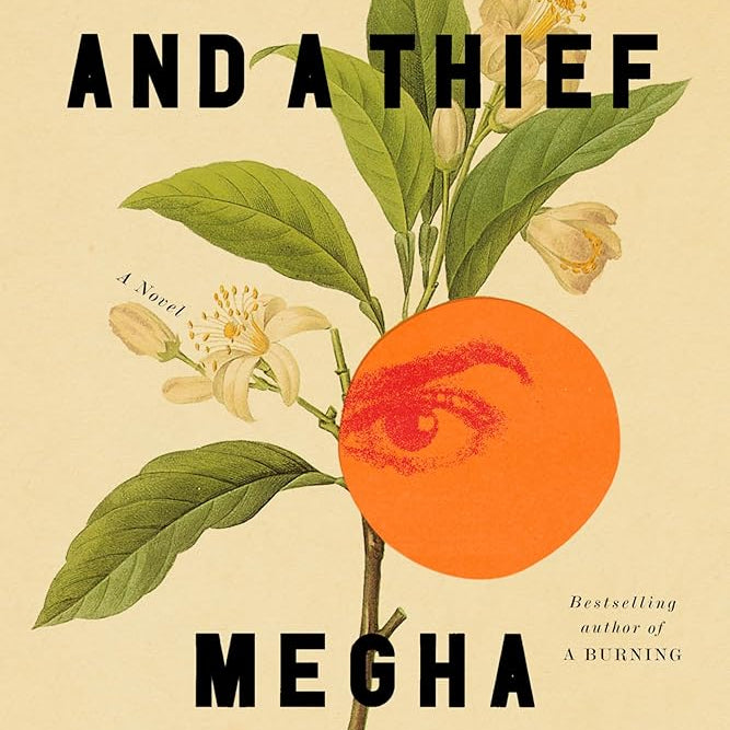 A Guardian and a Thief: A Novel cover image