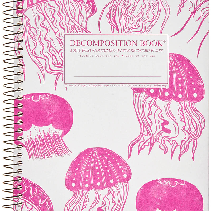 Jellyfishlo-res_5430375b-745d-4822-8178-8adaee82d2a6.webp