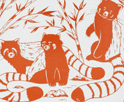 Topbound Pocket Sized Red Pandas Decomposition Book Sale price