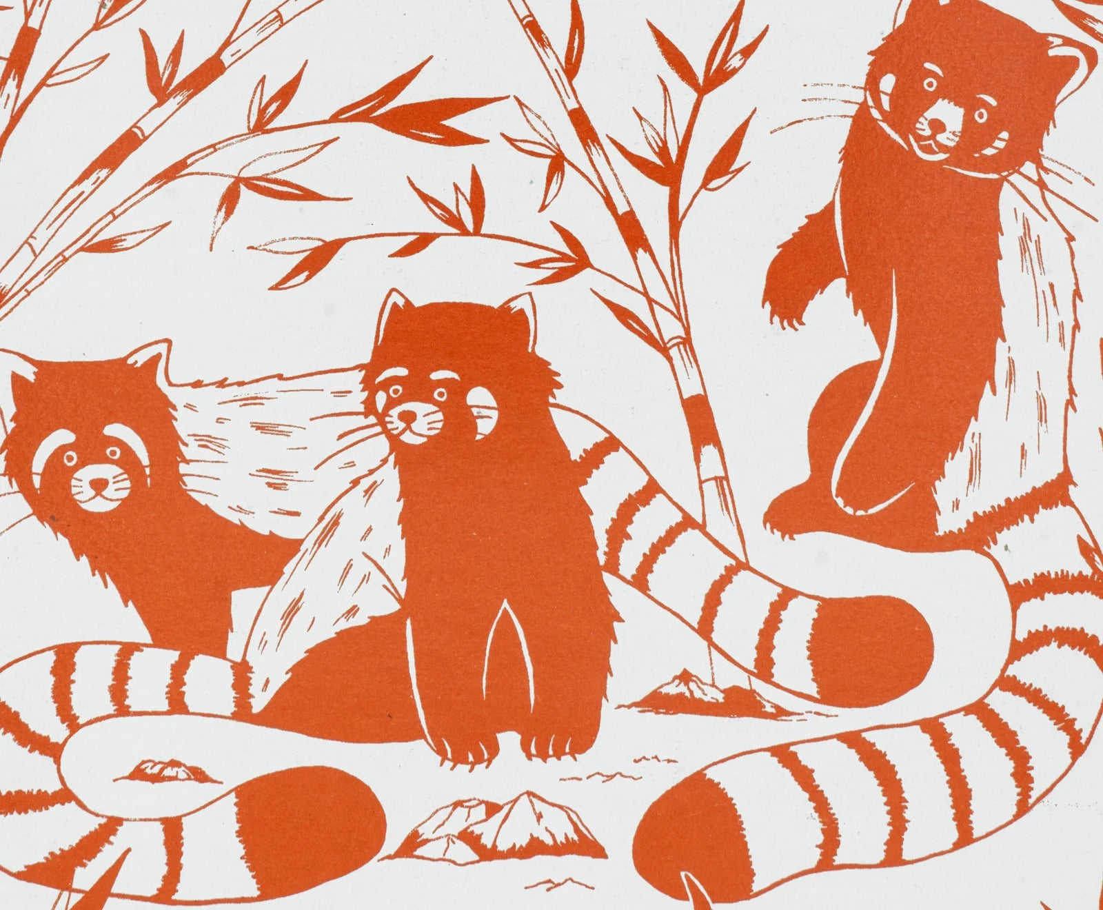 Red_Pandas_Closeup.webp