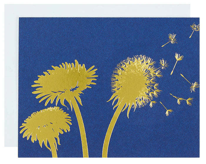 dandelions.webp