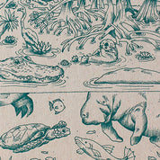 Everglades Pocket Sized Decomposition Book