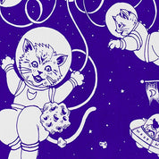 Kittens in Space Decomposition Book