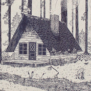 Redwood Creek Decomposition Book
