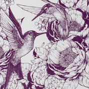Hummingbirds Pocket Sized Decomposition Book